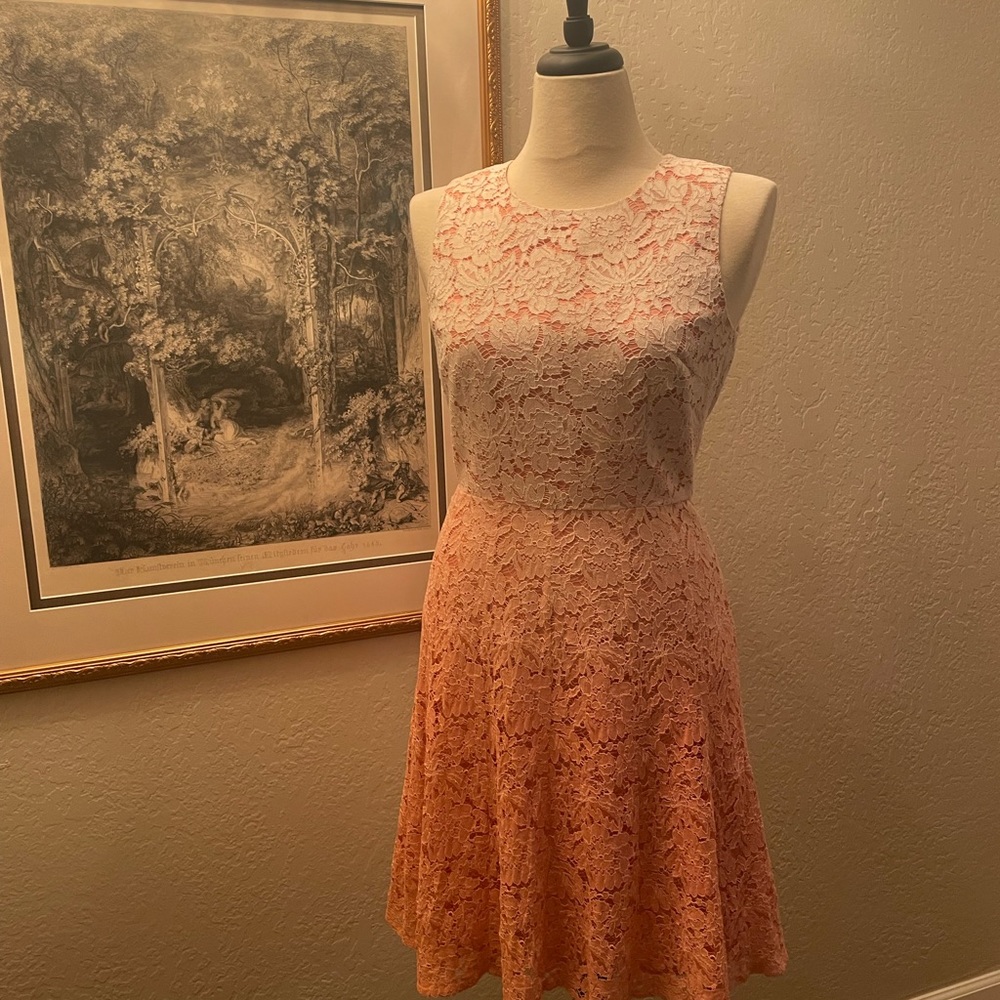 NWT Trina Turk pink ombré lace dress, S, M, 6, 8